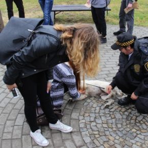 Każdemu należy się chwila przerwy...