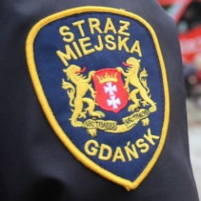 Nie dała złodziejom szans