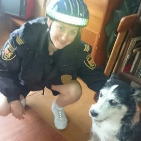 Zgubił się na spacerze, do domu odstawiła go straż