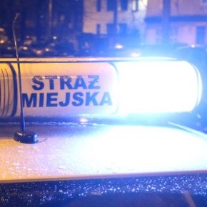 W 10 minut namierzyli poszukiwanego