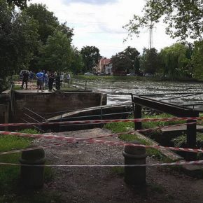 Walka z żywiołem przy Pomorskiej