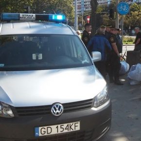 Nielegalne? Do likwidacji!