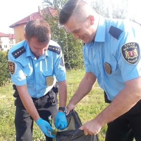 Trujące ziele obok gimnazjum