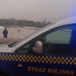 Desperat na cienkim lodzie