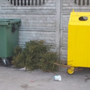 Choinka już niepotrzebna - co z nią zrobić?
