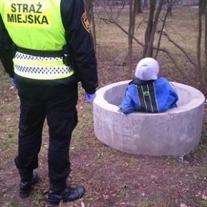 W kamiennym kręgu
