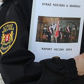Raport roczny 2016