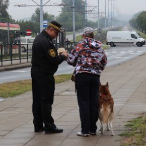 Pies po sobie nie posprząta