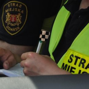 Bez uprawnień i pod wpływem narkotyku