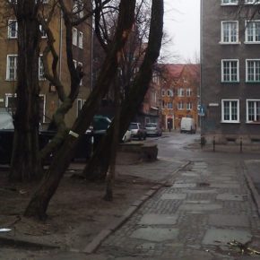 Wycinka uszkodzonego drzewa