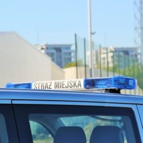 Nauka poszła w las