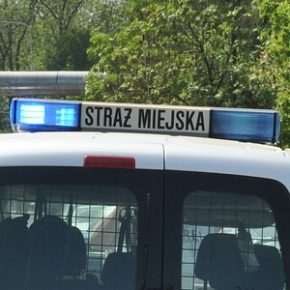 Zgubiły go emocje