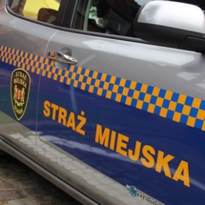 Jednak nie miał prawa jazdy