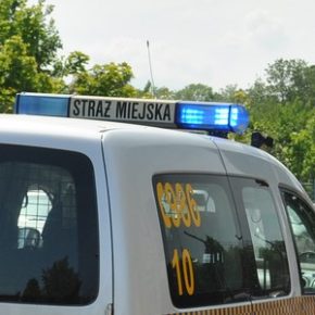 Wyszedł na spacer z pieskiem…
