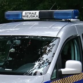 Tata pod wpływem