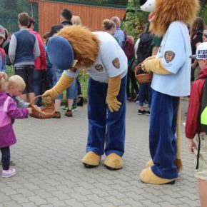 Międzynarodowy Dzień Lwa w Gdańskim Ogrodzie Zoologicznym - 10 sierpnia 2017