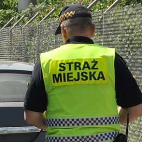 Kolejny kierowca bez prawka