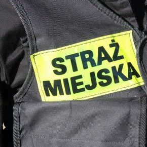 Ogłoszenie o naborze na wolne stanowiska: od aplikanta do starszego specjalisty