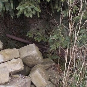 Niebezpieczne znalezisko tuż obok domostw