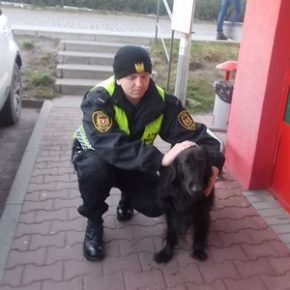 Czworonogi bez nadzoru