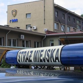Niepełnosprawny w potrzebie