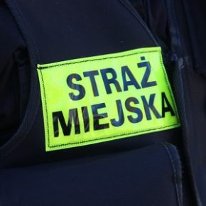 Wszystko skończyło się dobrze