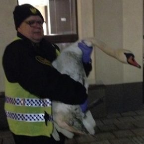 Bliskie spotkanie z przyrodą
