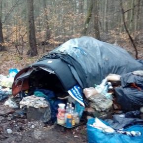 Bez domu, na styku Gdańska i Gdyni