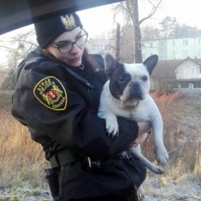 Duży kłopot małego czworonoga