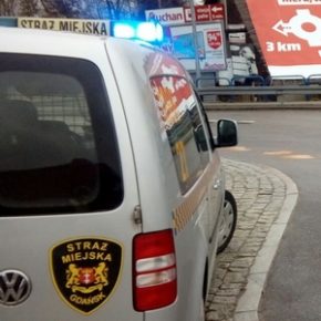 Śliski problem na ulicy