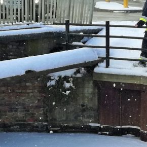 Kot uwięziony na zamarzniętym Kanale Raduni - Gdańsk, 3 marca 2018 r.
