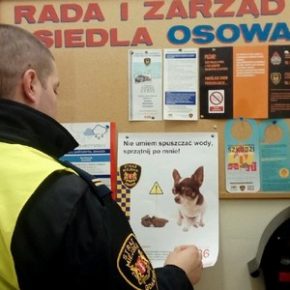 Osowa: Z mieszkańcami o porządku i bezpieczeństwie