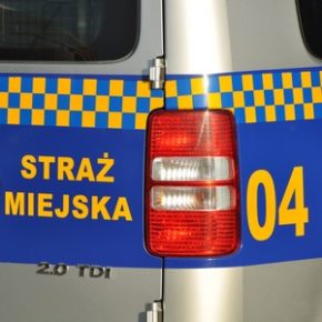 Pomoc dla starszej pani