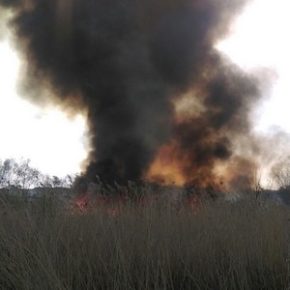 Strażnicy kontra ogień