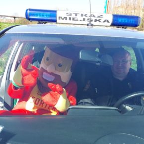 Strażnicy na wielkim sprzątaniu Gdańska-Południe