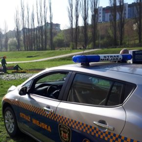 Strażnicy na wielkim sprzątaniu Gdańska-Południe