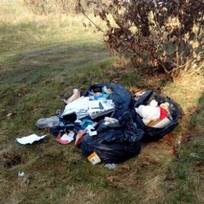Zabrakło miejsca w śmietniku?