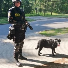 Zgubił się na spacerze