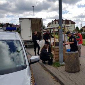 Handel mile widziany, ale tylko legalny!