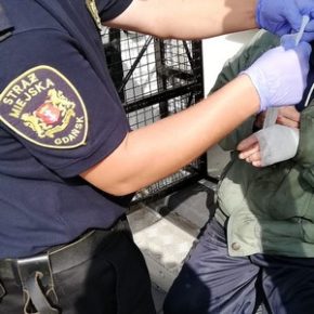 Mimo ran, myślał głównie o chorej żonie