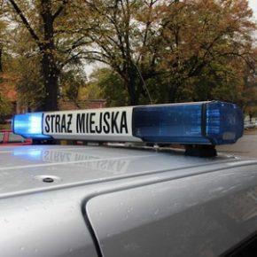 Porządkowe problemy dzielnic – wyniki ankiety