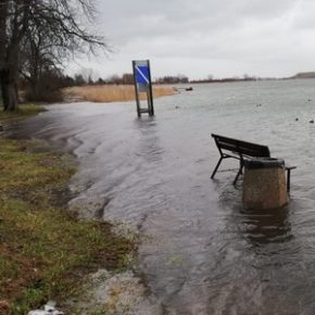 Walka ze skutkami wichury